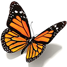 Фотопечать_5